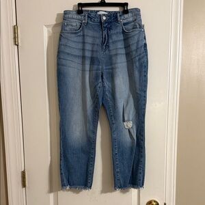 Classic Blue Distressed Women Jeans-Curvy
